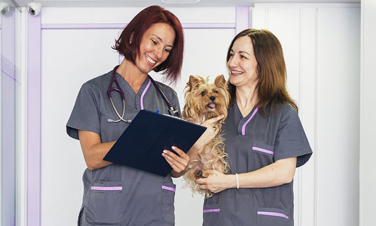 Veterinary nurse jobs in perth australia