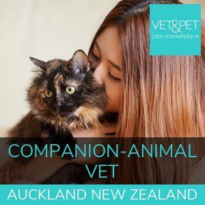 Companion Animal Vet