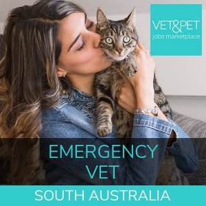 Emergency Vet