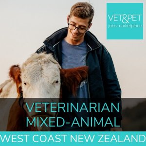 Veterinarian – Mixed Animal