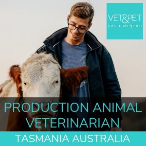 Production Animal Veterinarian