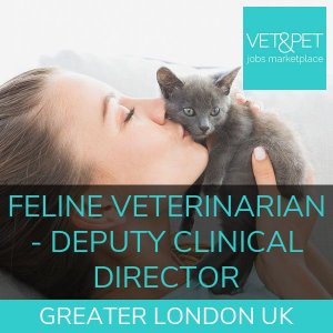 Feline Veterinarian – Deputy Clinical Director