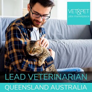 Lead Veterinarian