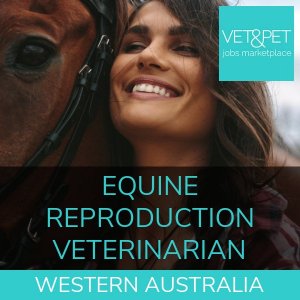 Equine Reproduction Veterinarian