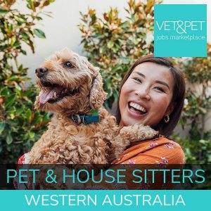 Pet & House Sitters