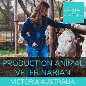 Production Animal Veterinarian