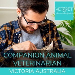 Companion Animal Veterinarian