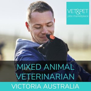Mixed Animal Veterinarian