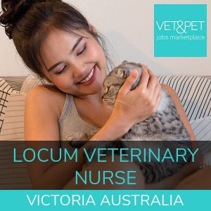 Locum Veterinary Nurse