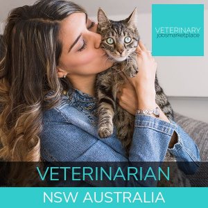 Veterinary Jobs Sydney New South Wales - NSW - Veterinarian & Veterinary  Nurse :: Veterinary Jobs Marketplace