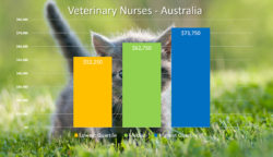 Veterinary Salary Survey - Veterinarian Salary- Veterinary Nurse Salary - Locum Veterinarian Hourly Rates