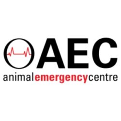 Animal Emergency Centre Woolloongabba