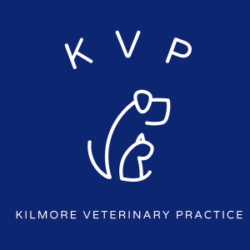 Kilmore Veterinary Practice