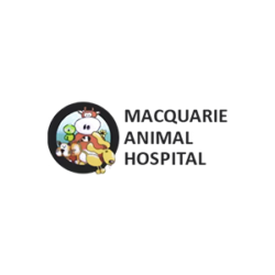 Macquarie Animal Hospital