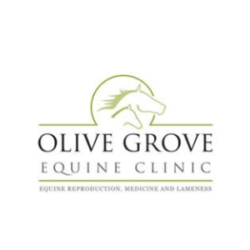 Olive Grove Equine Clinic