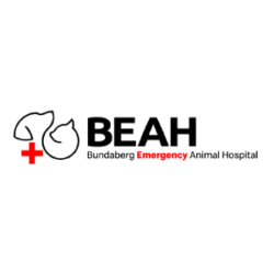 Bundaberg Emergency Animal Hospital